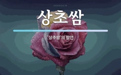상초쌈 뜻: ‘상추쌈’의 방언