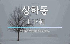 상하동 뜻: 윗동네와 아랫동네를 아울러 이르는 말.