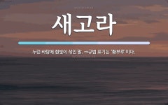 새고라 뜻: 누런 바탕에 흰빛이 섞인 말. ⇒규범 표기는 ‘황부루’이다.