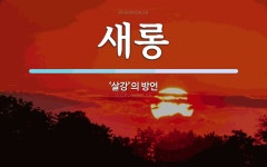 새롱 뜻: ‘살강’의 방언