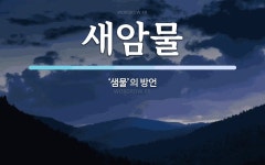 새암물 뜻: ‘샘물’의 방언