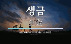 생금 뜻: 정련(精鍊)하지 아니한, 캐낸 그대로의 금.