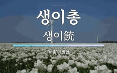 생이총 뜻: ‘새총’의 방언