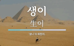 생이 뜻: ‘생니’의 북한어.