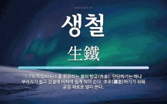 생철 뜻: 1.7% 이상의 탄소를 함유하는 철의 합금(合金). 단단하기는 하나 부러지기 쉽고 강철에 생철 뜻: 1.7% 이상의 탄소를... 