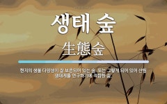 생태 숲 뜻: 현지의 생물 다양성이 잘 보존되어 있는 숲. 또는 그렇게 되어 있어 산림 생태계를 연구하기