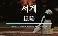 서계 뜻: 아랫배와 허벅다리 사이의 후미진 부위. 또는 그 부위의 멍울.