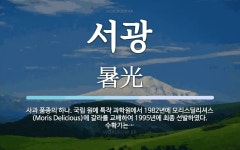서광 뜻: 사과 품종의 하나. 국립 원예 특작 과학원에서 1982년에 모리스딜리셔스(Moris Del
