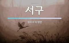 서구 뜻: ‘씀바귀’의 방언