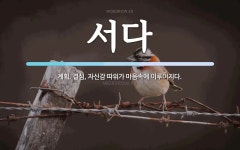서다 뜻: 계획, 결심, 자신감 따위가 마음속에 이루어지다.
