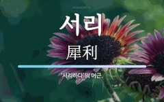 서리 뜻: ‘서리하다’의 어근.