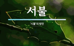 서불 뜻: ‘시울’의 방언