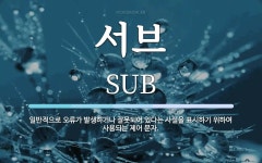 서브 뜻: 일반적으로 오류가 발생하거나 잘못되어 있다는 사실을 표시하기 위하여 사용되는 제어 문자.