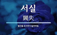 서실 뜻: 물건을 흐지부지 잃어버림.