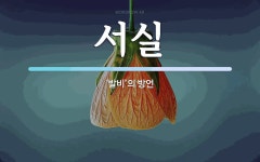서실 뜻: ‘발비’의 방언