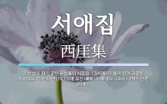 서애집 뜻: 조선 선조 때의 문신 유성룡의 시문집. <징비록>이 들어 있어 귀중한 자료이다. 인조 11