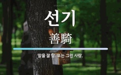 선기 뜻: 말을 잘 탐. 또는 그런 사람.