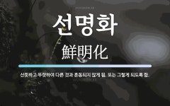 선명화 뜻: 산뜻하고 뚜렷하여 다른 것과 혼동되지 않게 됨. 또는 그렇게 되도록 함.