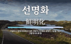 선명화 뜻: 이념이나 정책 따위에서 다른 사람이나 단체와 분명히 구분됨. 또는 그렇게 되도록 함.