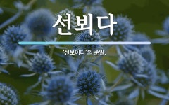 선뵈다 뜻: ‘선보이다’의 준말.