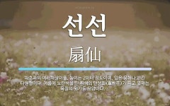 선선 뜻: 파초과의 여러해살이풀. 높이는 2미터 정도이며, 잎은 뭉쳐나고 긴 타원형이다. 여름에 노란