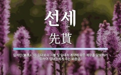선세 뜻: 임차인(賃借人)이 임대료의 지불 및 임대차 계약에 따른 채무를... 임대인에게 선세 뜻: 임차인(賃借人)이 임대료의 지불 및 임대차 계약에... 