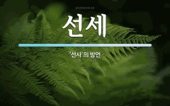 선세 뜻: ‘선사’의 방언