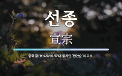 선종 뜻: 중국 금(金)나라의 제8대 황제인 ‘완안순’의 묘호.