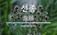 선종 뜻: 발길을 돌려 돌아섬.