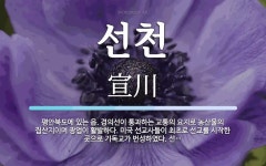 선천 뜻: 평안북도에 있는 읍. 경의선이 통과하는 교통의 요지로 농산물의 집산지이며 광업이 활발하다.