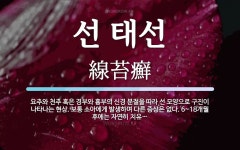 선 태선 뜻: 요추와 천추 혹은 경부와 흉부의 신경 분절을 따라 선 모양으로 구진이 나타나는 현상. 보통