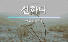 선하다 뜻: ‘서낙하다’의 준말.