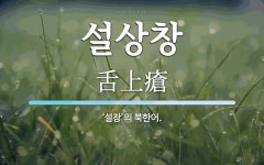 설상창 뜻: ‘설창’의 북한어.