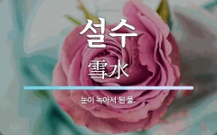 설수 뜻: 눈이 녹아서 된 물.