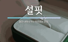 설핏 뜻: 잠깐 나타나거나 떠오르는 모양.