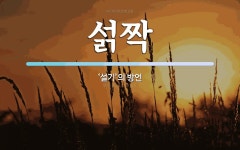 섥짝 뜻: ‘설기’의 방언