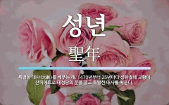 성년 뜻: 특별한 대사(大赦)를 베푸는 해. 1470년부터 25년마다 성탄절에 교황이 산피에트로 대성