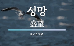 성망 뜻: 높고 큰 덕망.
