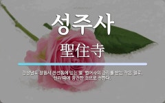 성주사 뜻: 경상남도 창원시 천선동에 있는 절. 범어사의 관리를 받는 작은 절로, 신라 때에 창건한 것