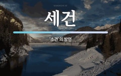 세건 뜻: ‘소견’의 방언