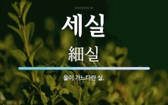 세실 뜻: 올이 가느다란 실.