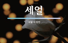 세얼 뜻: ‘세월’의 방언