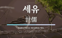 세유 뜻: 세상에서 떠받드는 속된 유학자나 학자.