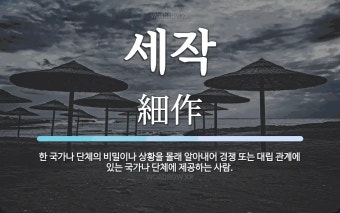 세작 뜻: 한 국가나 단체의 비밀이나 상황을 몰래 알아내어 경쟁 또는 대립 관계에 있는 국가나 단체에