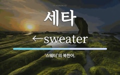 세타 뜻: ‘스웨터’의 북한어.