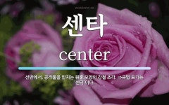 센타 뜻: 선반에서, 공작물을 받치는 원뿔 모양의 강철 조각. ⇒규범 표기는 ‘센터’이다.