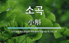 소곡 뜻: 민가(民家)에서 곡식이나 액체 열다섯 말을 되는 데 쓰던 그릇.