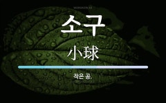 소구 뜻: 작은 공.