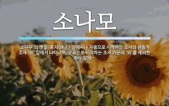 소나모 뜻: ‘소나무’의 옛말. 휴지(休止) 앞에서나 자음으로 시작하는 조사와 공동격 조사 ‘와’ 앞에