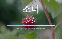 소녀 뜻: 아직 완전히 성숙하지 아니한 어린 여자아이.